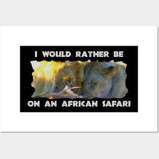 I Would Rather Be On An African Safari Lion Feast Posters and Art